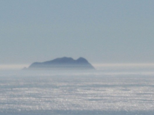 CALIFORNIA DREAMIN ...